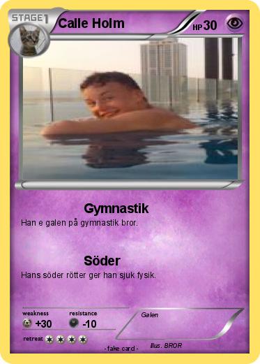 Pokemon Calle Holm