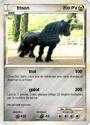 Pokemon frison