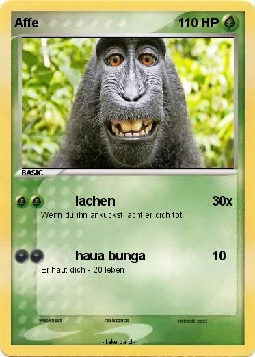 Pokemon Affe