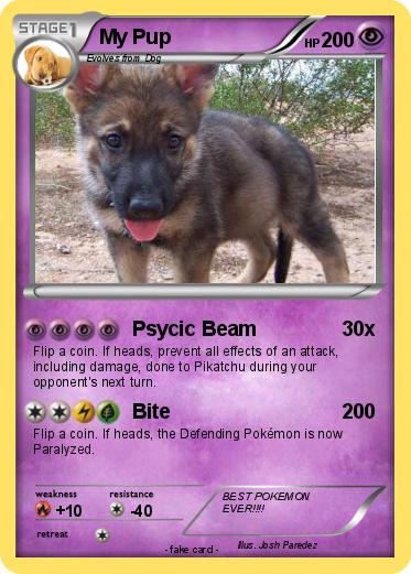 Pokemon My Pup
