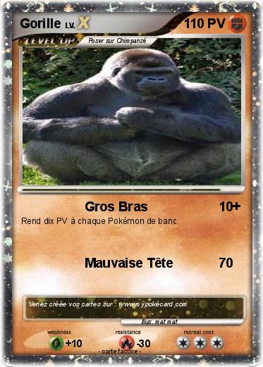 Pokemon Gorille