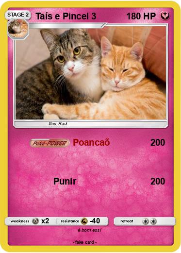 Pokemon Taís e Pincel 3