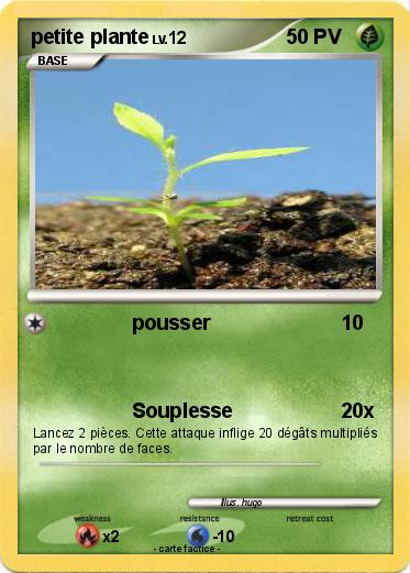 Pokemon petite plante