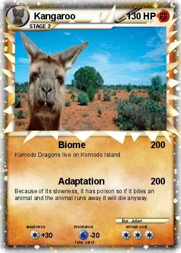 Pokemon Kangaroo