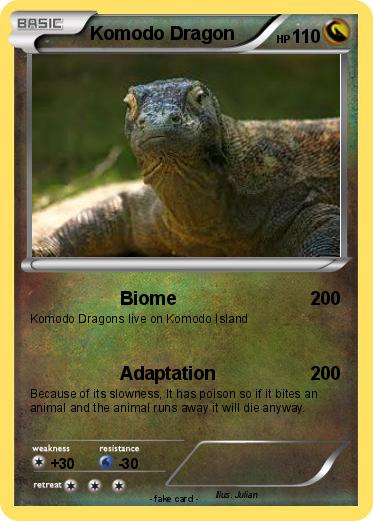 Pokemon Komodo Dragon