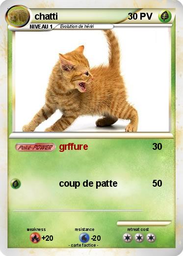 Pokemon chatti