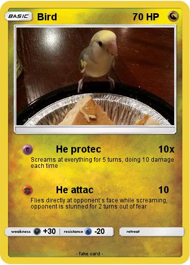 Pokemon Bird