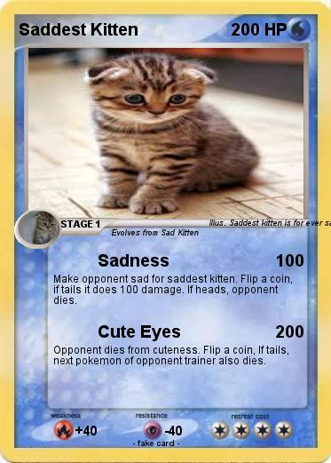 Pokemon Saddest Kitten