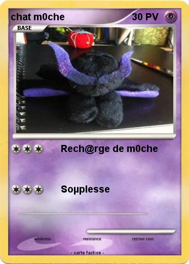 Pokemon chat m0che