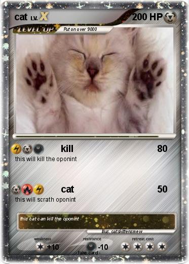 Pokemon cat
