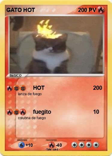 Pokemon GATO HOT