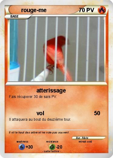 Pokemon rouge-me