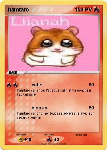 Pokemon hamtaro
