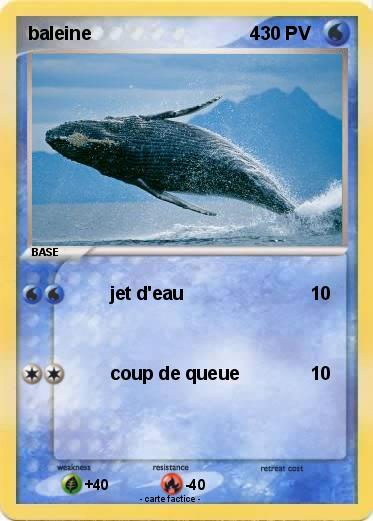 Pokemon baleine                               4