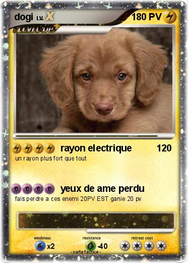 Pokemon dogi