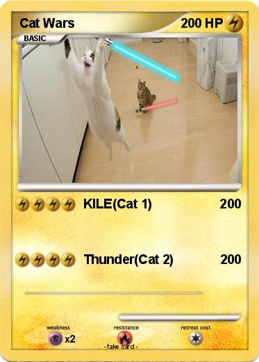 Pokemon Cat Wars