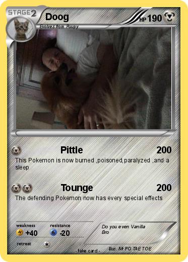 Pokemon Doog