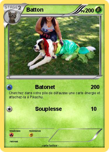 Pokemon Batton