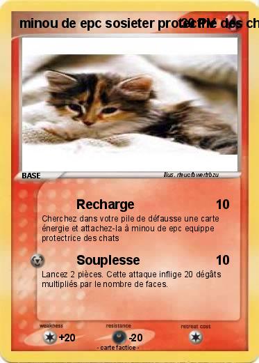 Pokemon minou de epc sosieter protectrie des chats