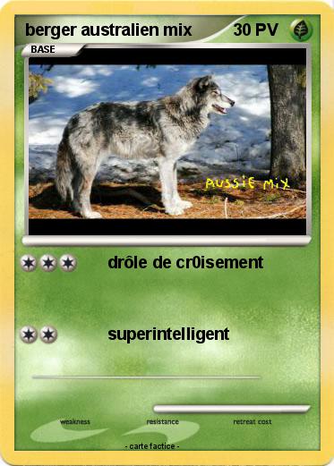 Pokemon berger australien mix