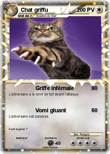 Pokemon Chat griffu