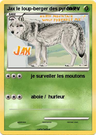 Pokemon Jax le loup-berger des pyrénées