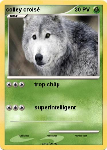 Pokemon colley croisé