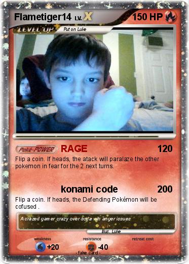 Pokemon Flametiger14
