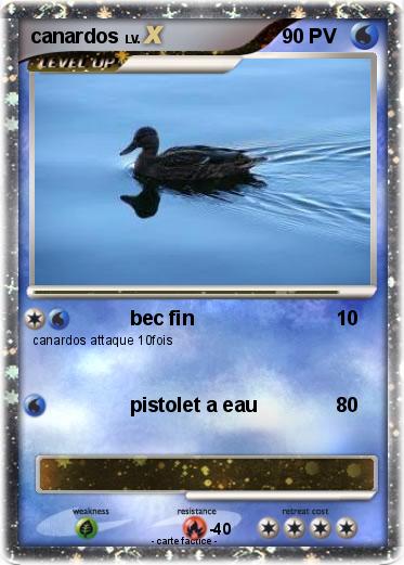 Pokemon canardos