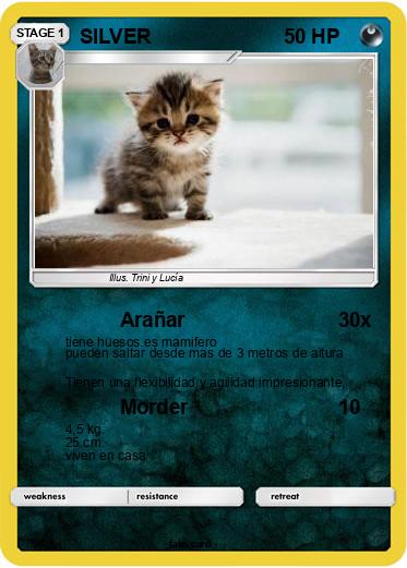 Pokemon SILVER