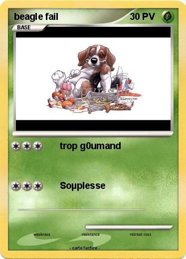 Pokemon beagle fail