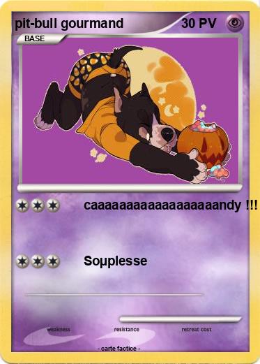 Pokemon pit-bull gourmand