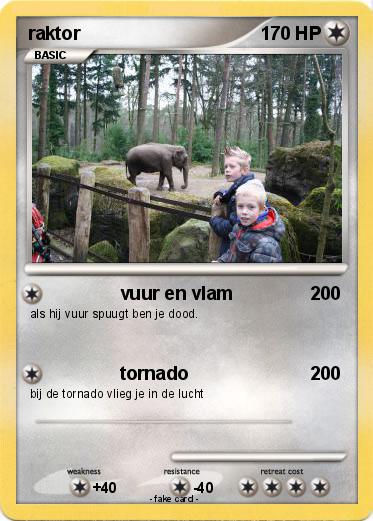 Pokemon raktor