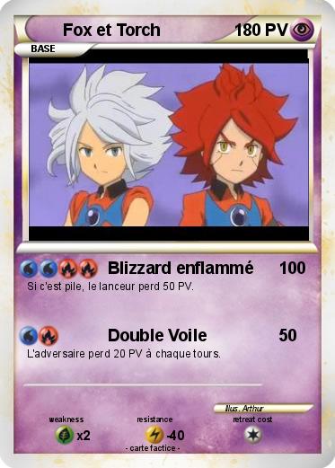 Pokemon Fox et Torch