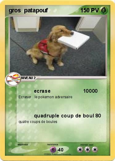 Pokemon gros  patapouf