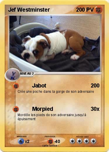 Pokemon Jef Westminster