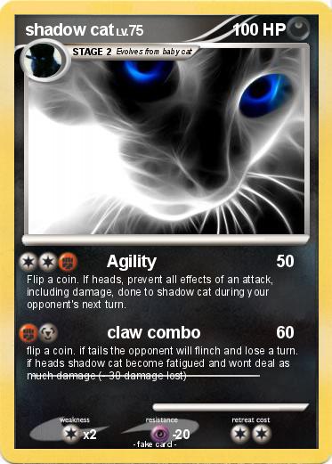Pokemon shadow cat