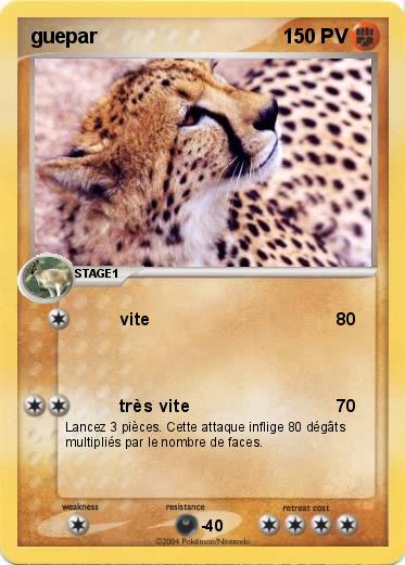 Pokemon guepar