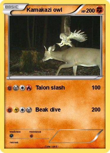 Pokemon Kamakazi owl