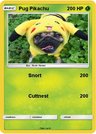 Pokemon Pug Pikachu