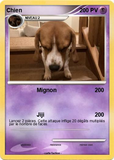 Pokemon Chien