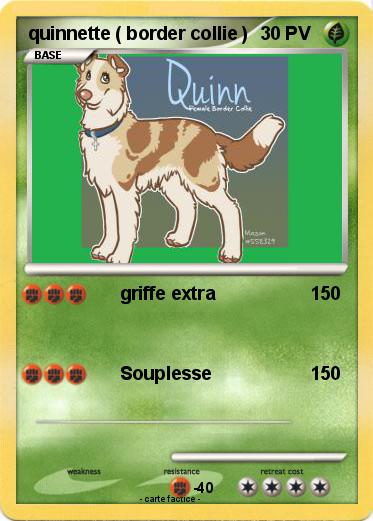 Pokemon quinnette ( border collie )