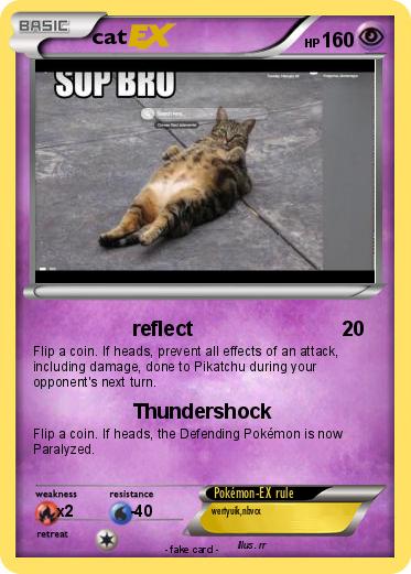Pokemon cat