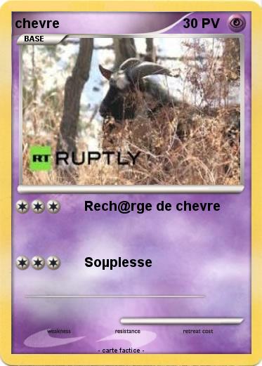 Pokemon chevre