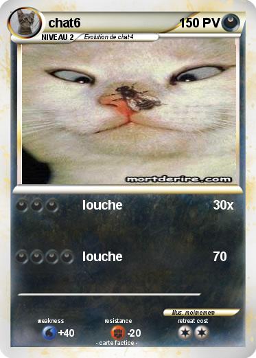 Pokemon chat6