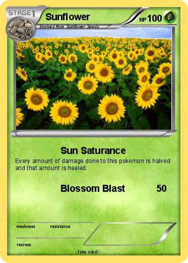 Pokemon Sunflower