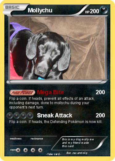 Pokemon Mollychu