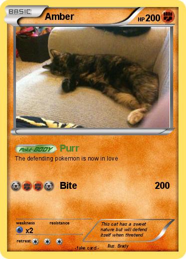 Pokemon Amber