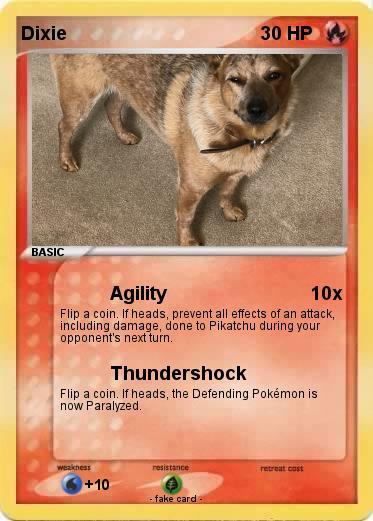 Pokemon Dixie