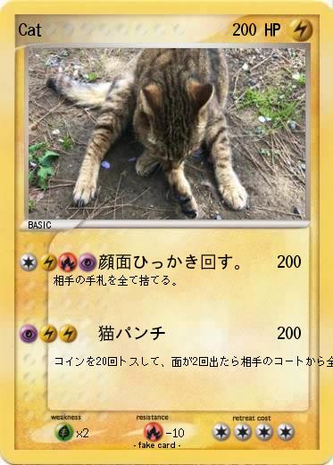 Pokemon Cat